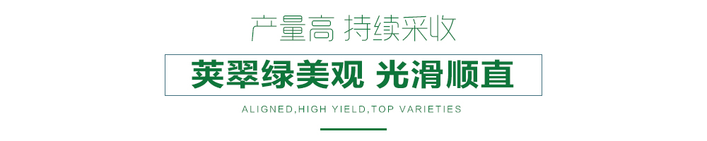 1558056945264773.jpg 详情页24.jpg